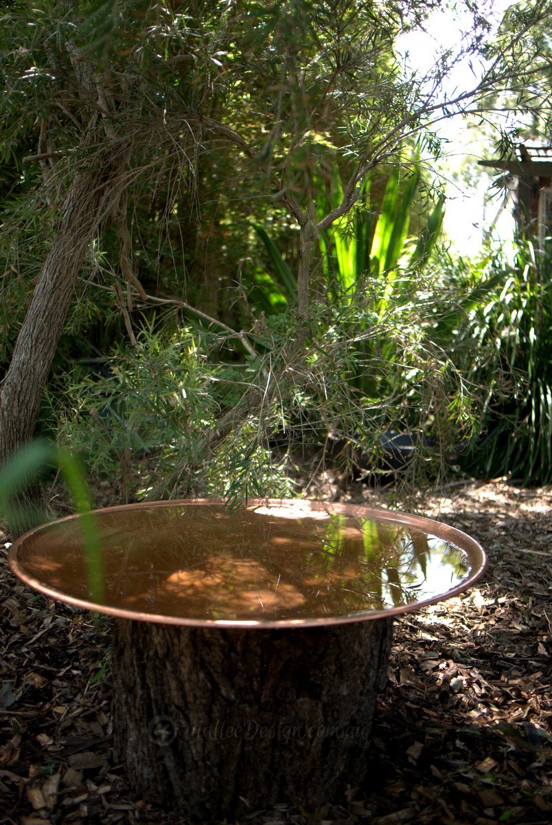 wide shallow bird bath