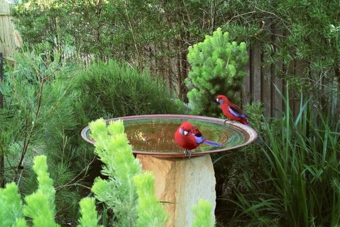 where to position a bird bath