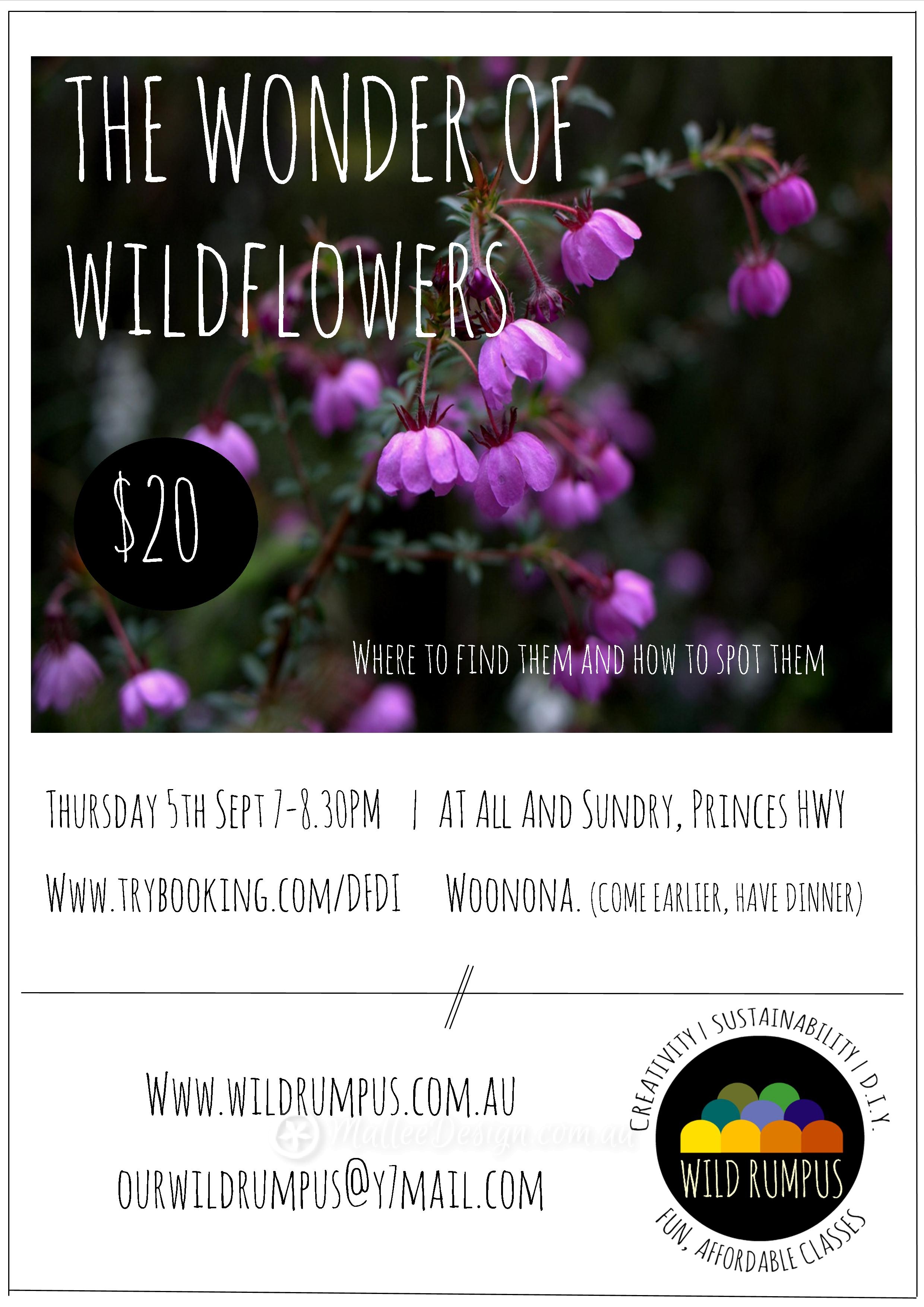 The Wonder of Wildflowers!