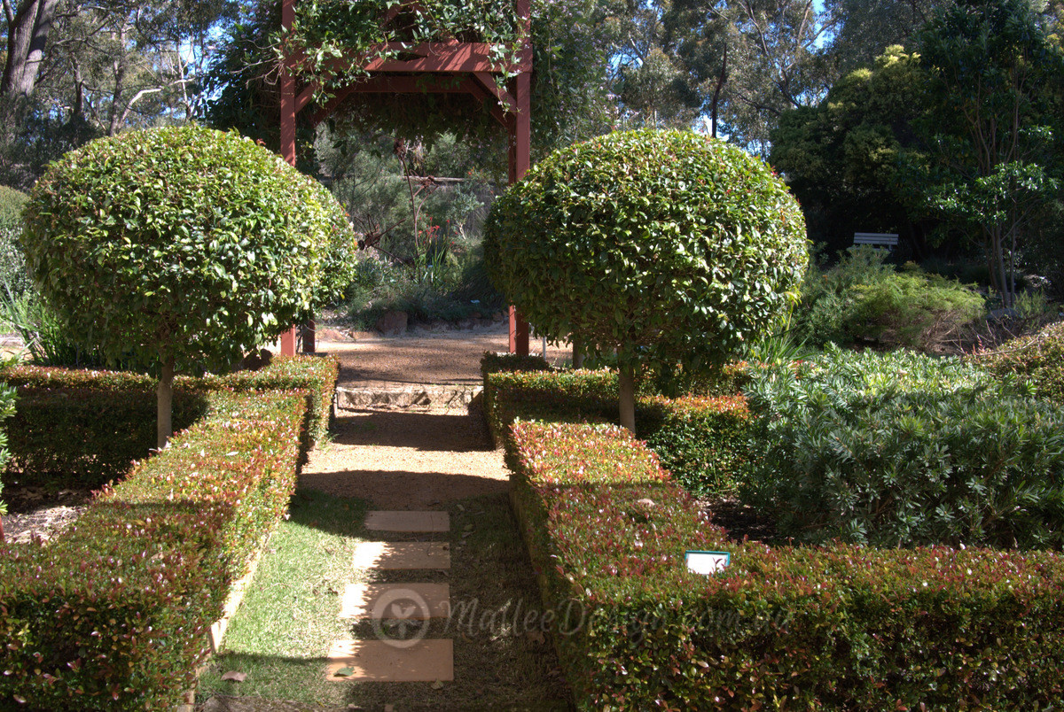 The ‘New’ formal Native Garden
