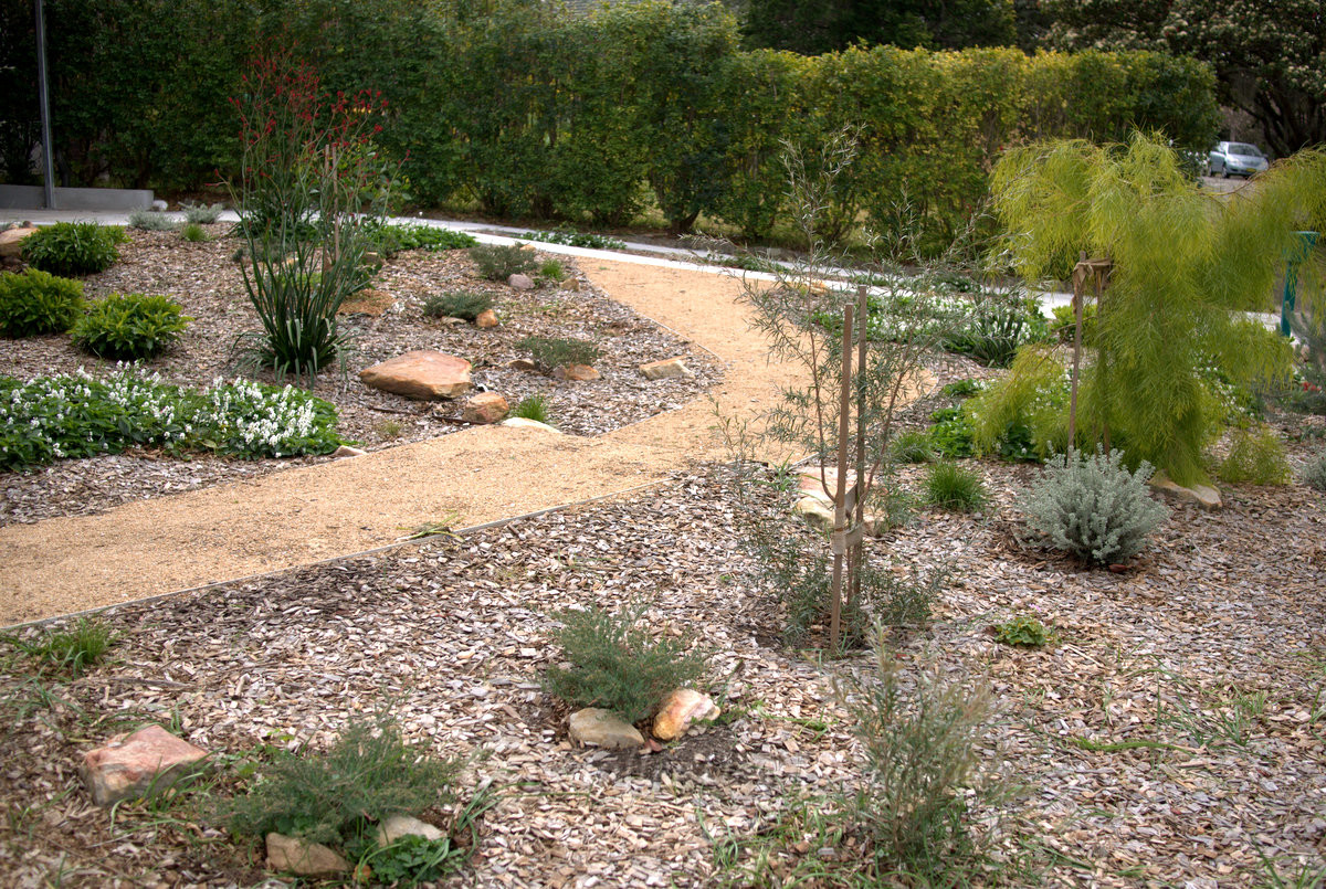 australian native garden planner