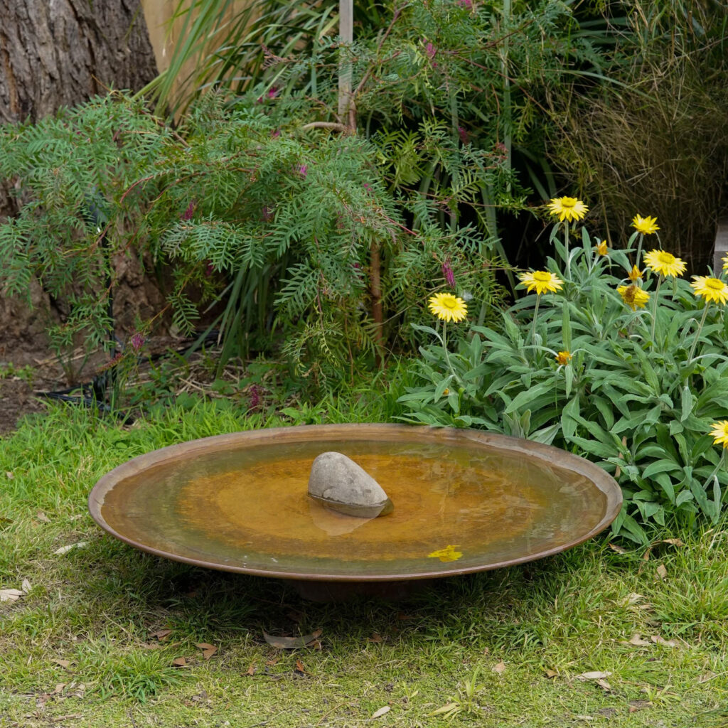 A large dish on the ground
